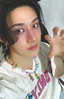 K-POP STRAY KIDS World Tour dominATE : celebrATE REWARD BANG CHAN OFFICIAL PHOTOCARD