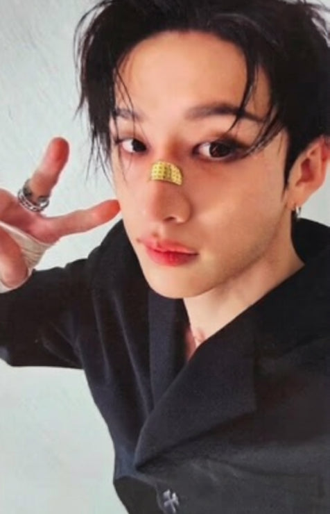 K-pop Stray Kids KARMA ACCORDION VER. BANG CHAN Official Photocard