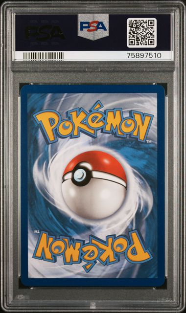 Pokemon TCG! 2021 POKEMON SWORD & SHIELD EVOLVING SKIES #205 FA/LEAFEON VMAX EVOLVING SKIES-SECRET PSA 10