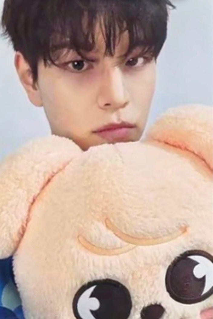 K-POP STRAY KIDS World Tour dominATE : celebrATE REWARD SEUNGMIN OFFICIAL PHOTOCARD