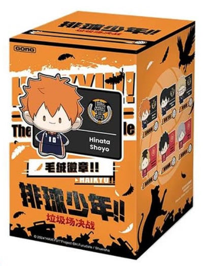 Haikyu Mystery Box (one variation chosen at random)