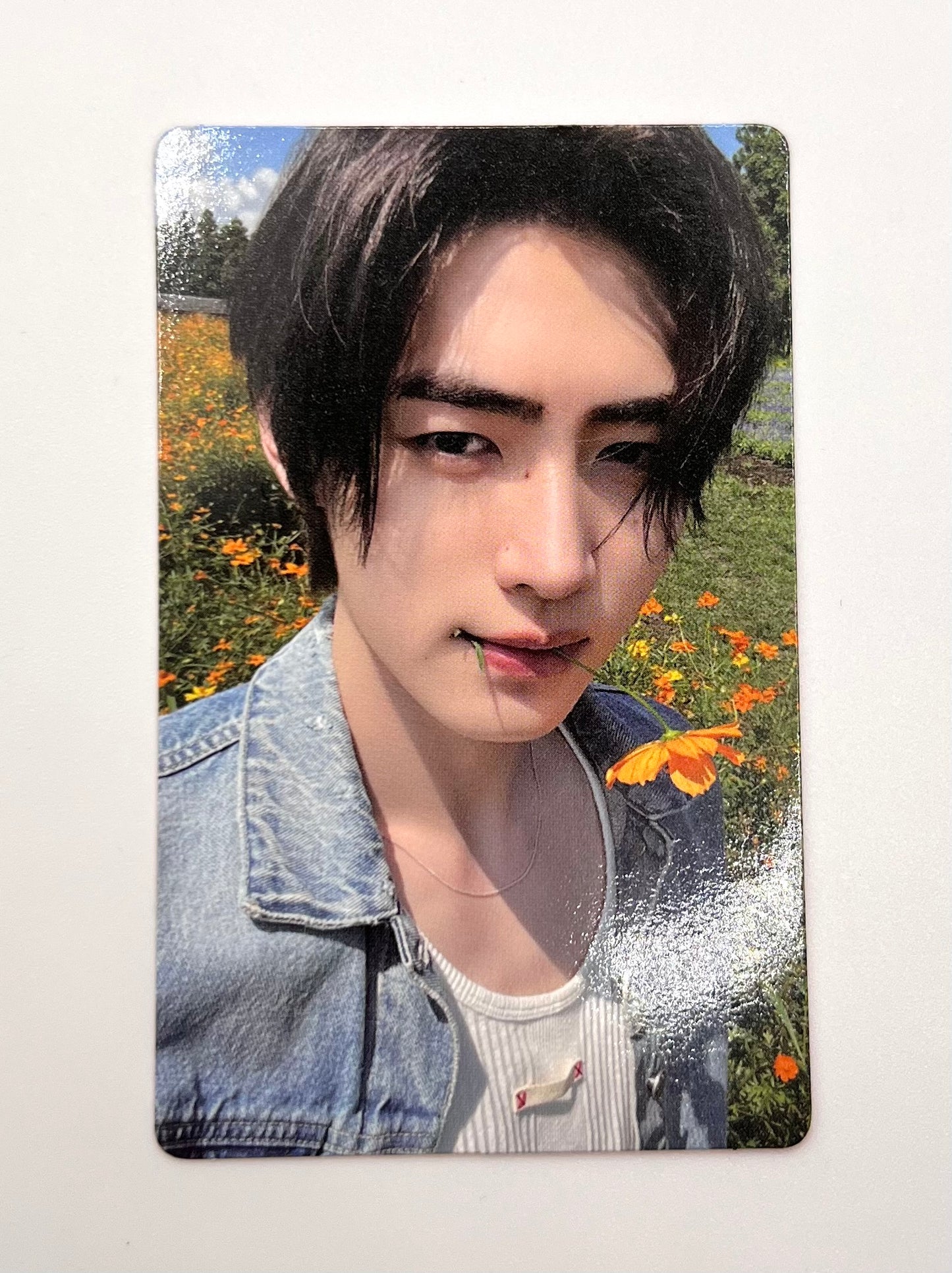 K-pop Enhypen Orange Blood Weverse Album Ver. PARK SUNGHOON Official Photocard
