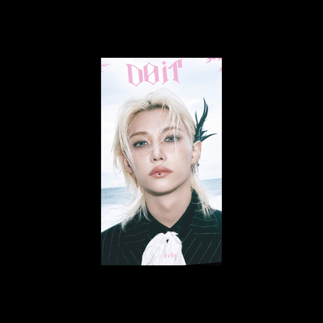K-POP STRAY KIDS - DO IT ALBUM (DO VER.) ACCORDION VER. (8 VERSIONS)