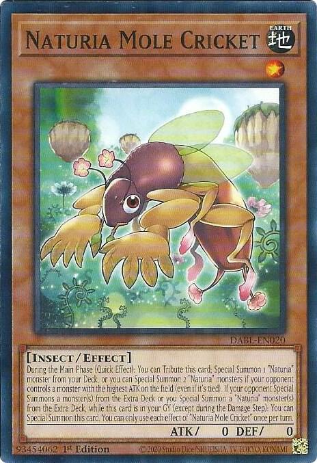 Naturia Mole Cricket - Darkwing Blast (DABL)