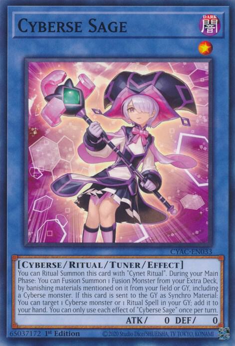 Cyberse Sage - Cyberstorm Access (CYAC)