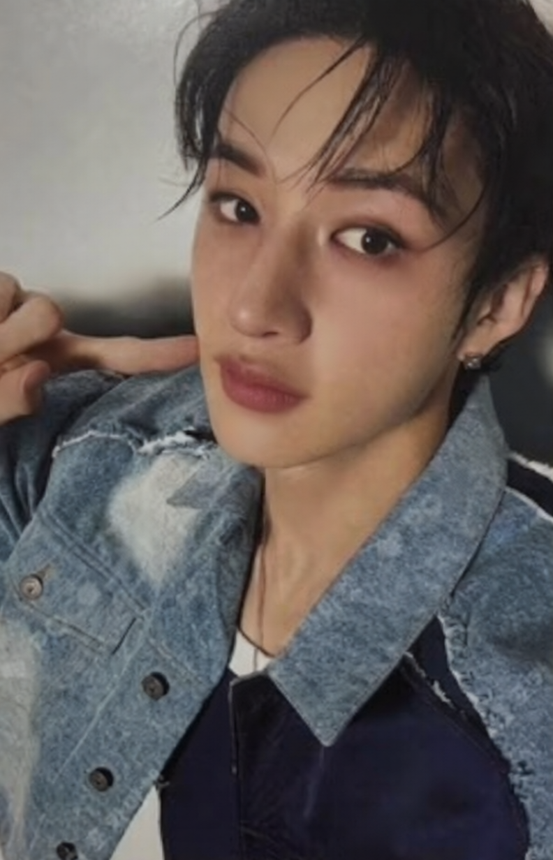 K-POP STRAY KIDS Hollow Standard Edition CHAN OFFICIAL PHOTOCARD