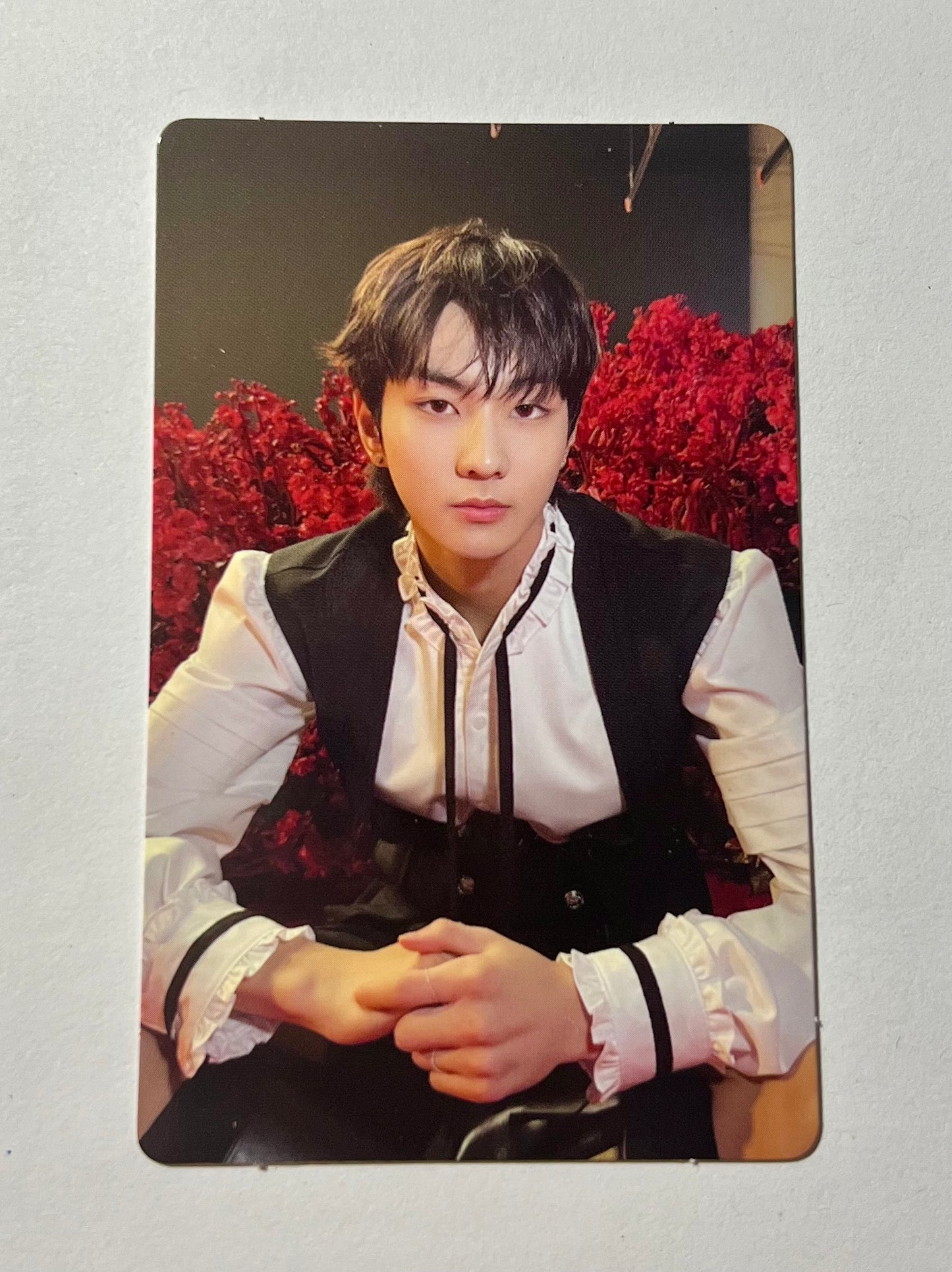 K-pop Enhypen Dark Blood NEW Ver. Offical YANG JUNGWON Photocard