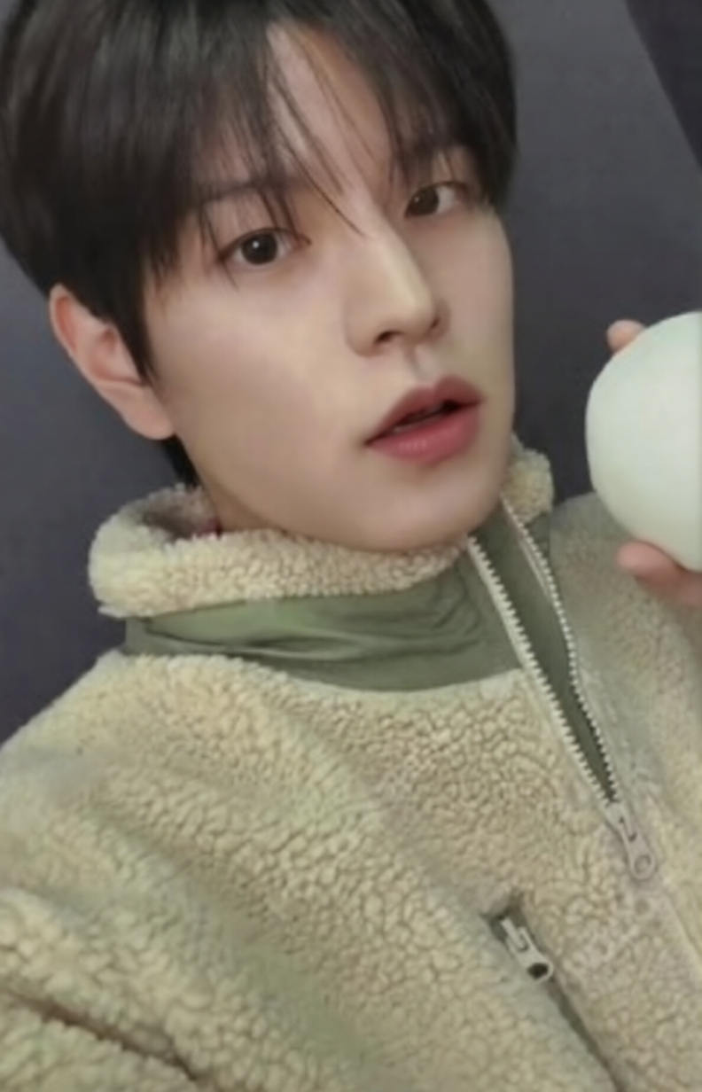 K-POP STRAY KIDS DO IT  IT VER. FANS SHOP SEUNGMIN OFFICIAL PHOTOCARD