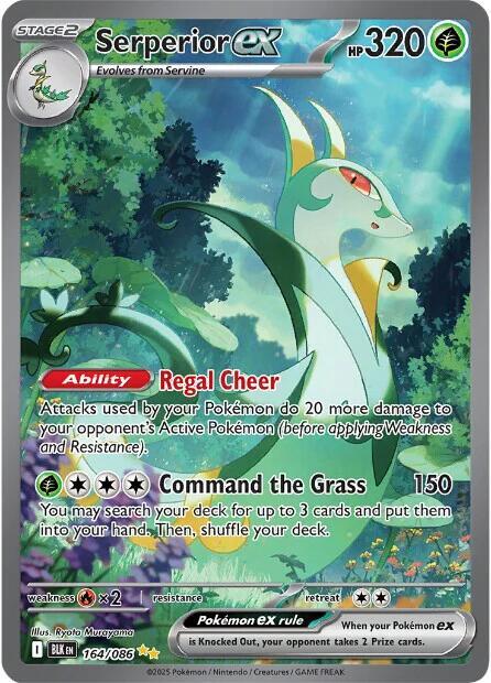 Pokemon TCG! Serperior ex - 164/086 - SV: Black Bolt (BLK)