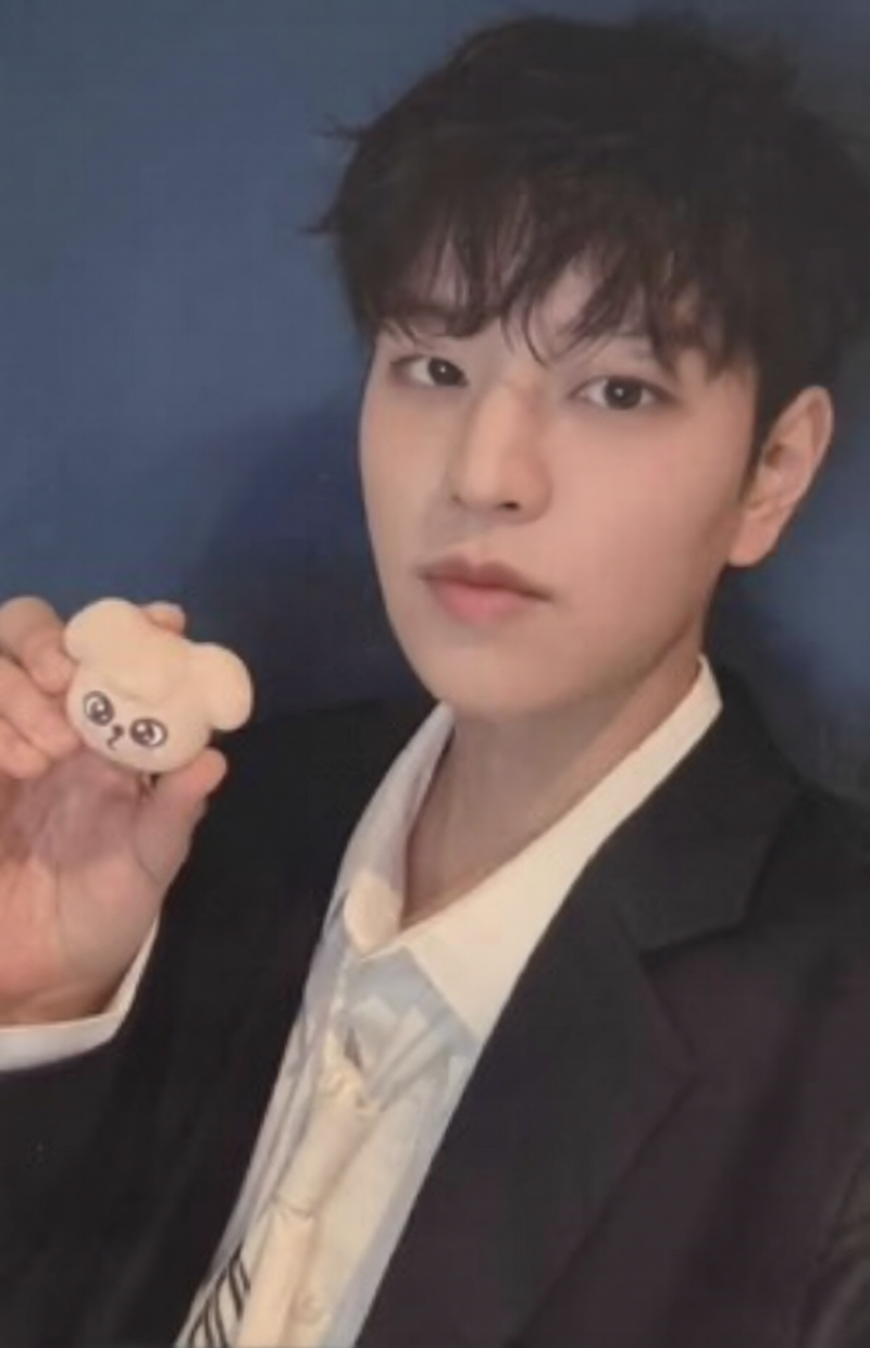 K-POP STRAY KIDS SKZOO TAMAGOTCHI & CASE SET SEUNGMIN OFFICIAL PHOTOCARD