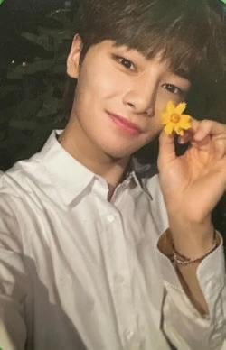 K-POP STRAY KIDS Noeasy Limited I.N OFFICIAL PHOTOCARD