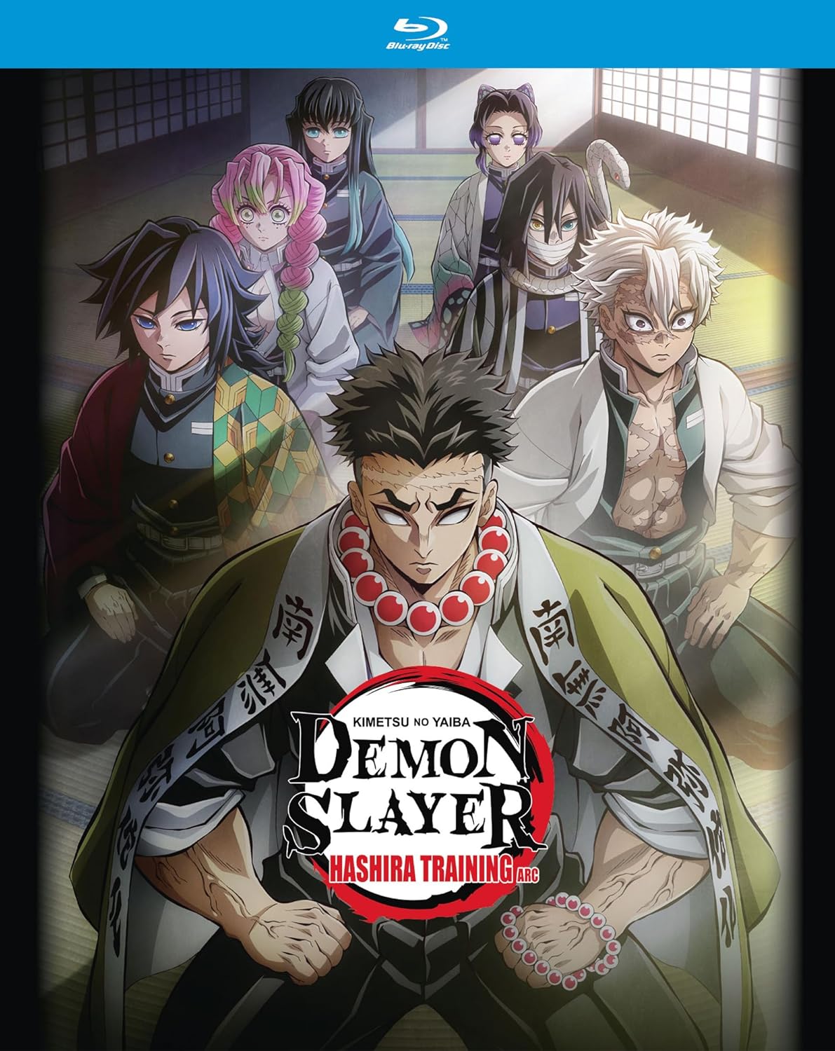 Demon Slayer: Hashira Training Arc (Blu-ray)