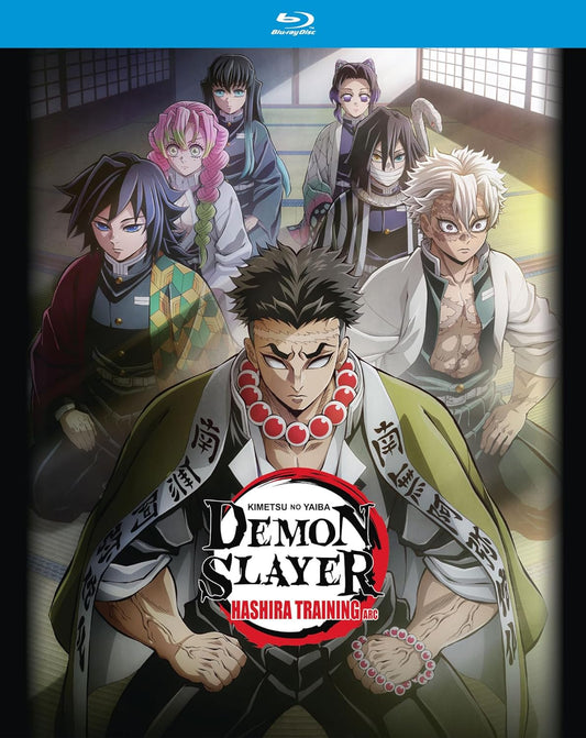 Demon Slayer: Hashira Training Arc (Blu-ray)