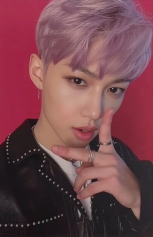 K-POP STRAY KIDS GO生 STANDARD VER. FELIX OFFICIAL PHOTOCARD