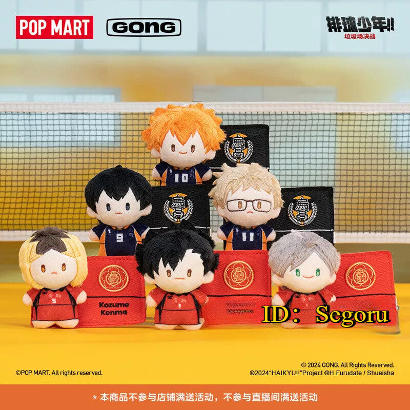 Haikyu Mystery Box (one variation chosen at random)