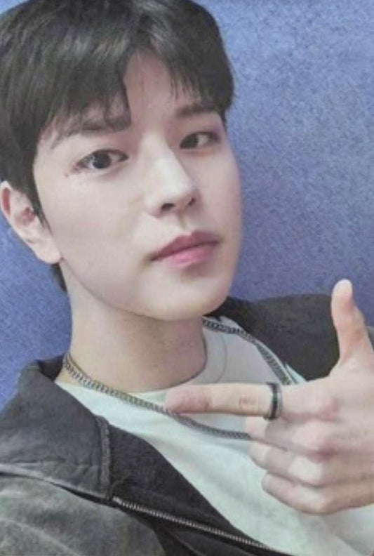 K-POP STRAY KIDS World Tour [dominATE SEOUL] DVD/Blu-ray
SEUNGMIN OFFICIAL PHOTOCARD