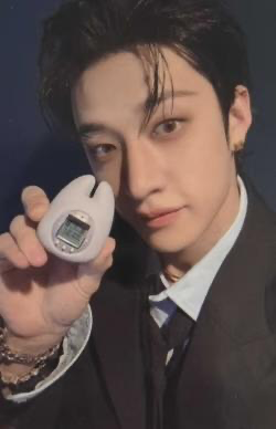 K-POP STRAY KIDS SKZOO TAMAGOTCHI & CASE SET BANG CHAN OFFICIAL PHOTOCARD