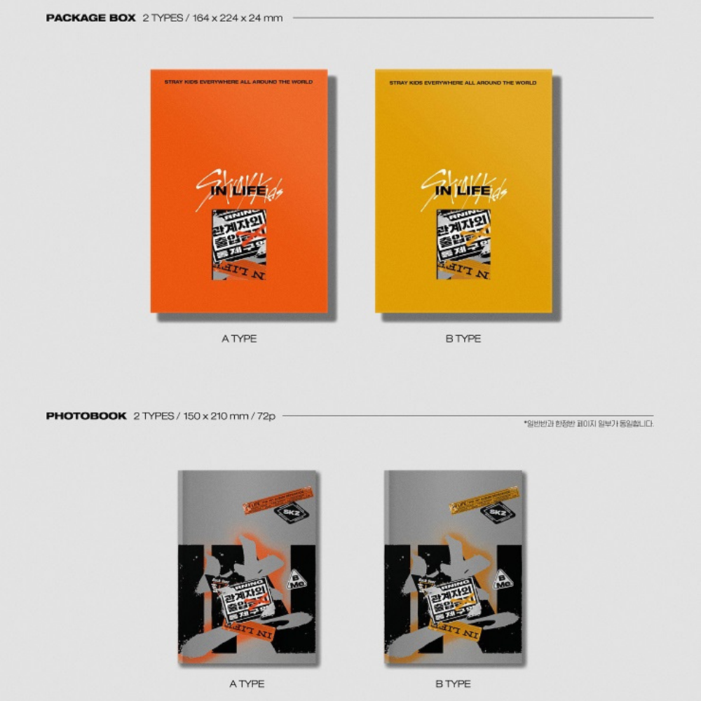 K-pop Stray Kids - Vol. 1 Repackage In-Life Album (A Ver.)