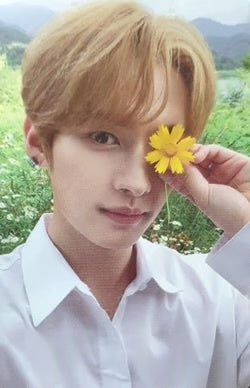 K-POP STRAY KIDS Noeasy Limited LEE KNOW OFFICIAL PHOTOCARD