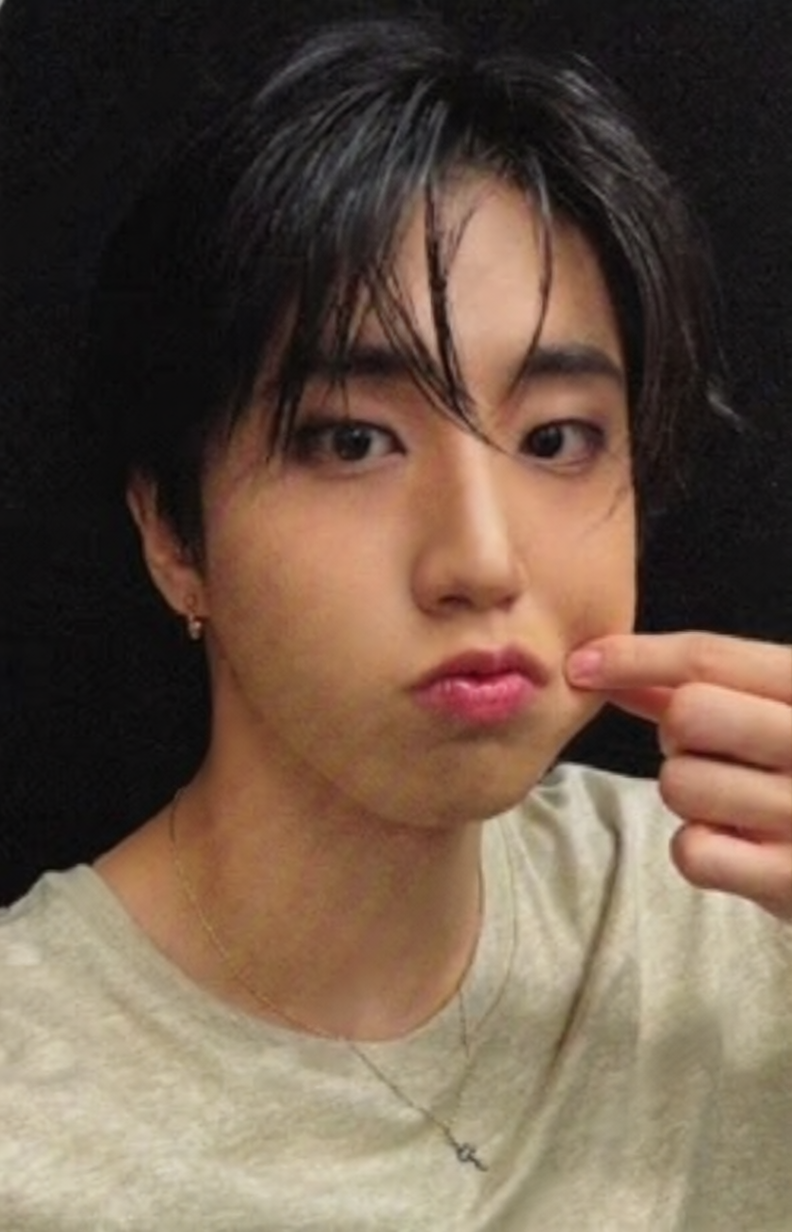 K-POP STRAY KIDS KARMA APPLEMUSIC HAN JISUNG OFFICIAL PHOTOCARD