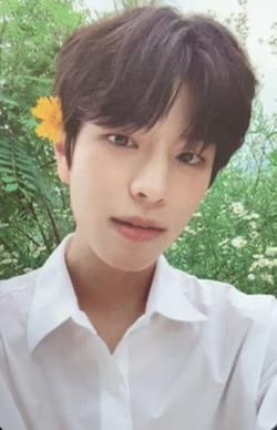 K-POP STRAY KIDS Noeasy Limited SEUNGMIN OFFICIAL PHOTOCARD