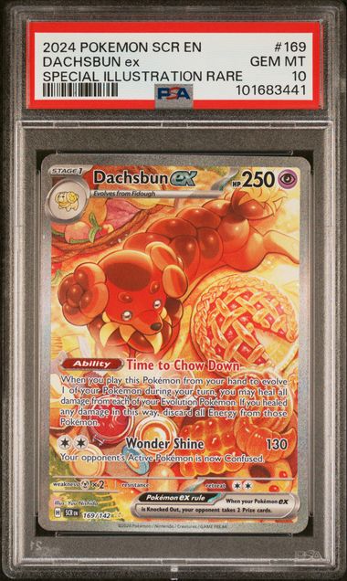 Pokemon TCG! 2024 POKEMON SCR EN-STELLAR CROWN #169 DACHSBUN ex SPECIAL ILLUSTRATION RARE PSA 10