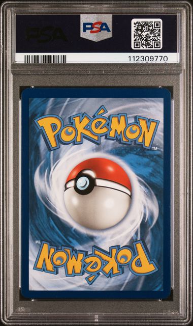 Pokemon TCG! 2019 POKEMON SUN & MOON BLACK STAR PROMOS #SM169 FA/EEVEE & SNORLAX GX PROMO-TAG TEAM TINS PSA 10